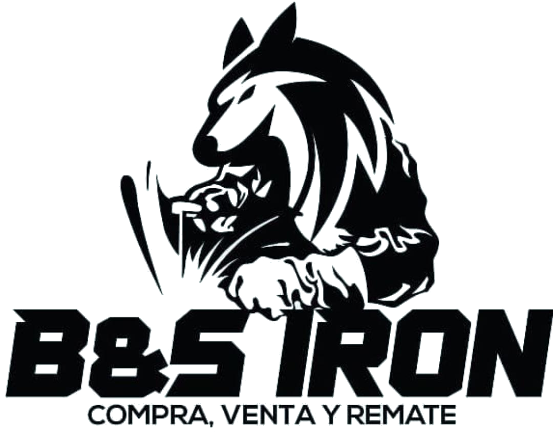 BS Iron Logo